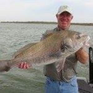 Meet your Posher, Phillip